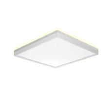 Prezent Prezent  - LED Kúpeľňové stropné svietidlo CORDIA SQ LED/12W/230V IP54 biela