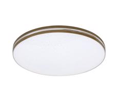 Rabalux Rabalux 3345 - LED Stropné svietidlo OSCAR LED/18W/230V