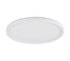 Rabalux Rabalux 3427 - LED Stropné svietidlo PAVEL LED/18W/230V