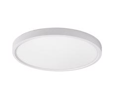 Rabalux Rabalux 71073 - LED Stropné svietidlo PAULOS LED/24W/230V 4000K pr. 30 cm biela