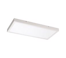 Rabalux Rabalux 71077 - LED Prisadený panel DAMEK LED/24W/230V 4000K 60x30 cm