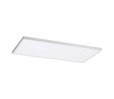 Rabalux Rabalux 71079 - LED Prisadený panel DAMEK LED/80W/230V 4000K 120x60 cm