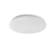 Rabalux Rabalux 71101 - LED Stropné svietidlo VENDEL LED/12W/230V 3000K 25 cm