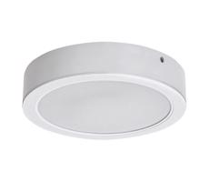 Rabalux Rabalux 71192 - LED Stropné svietidlo SHAUN LED/7W/230V pr. 12 cm biela