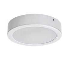 Rabalux Rabalux 71194 - LED Stropné svietidlo SHAUN LED/24W/230V pr. 22 cm biela