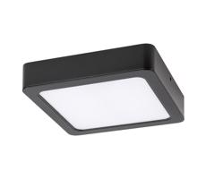 Rabalux Rabalux 71202 - LED Stropné svietidlo SHAUN LED/15W/230V 16x16 cm čierna