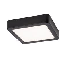 Rabalux Rabalux 71215 - LED Stropné svietidlo SHAUN LED/24W/230V 22x22 cm čierna