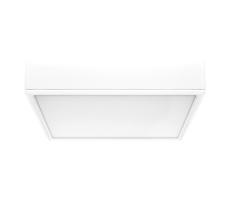 Rabalux Rabalux 71245 - LED Stropné svietidlo LAURI LED/22W/230V 21x21 cm biela