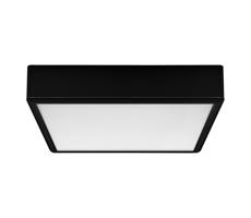 Rabalux Rabalux 71247 - LED Stropné svietidlo LAURI LED/22W/230V 21x21 cm čierna