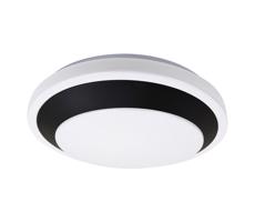 Rabalux Rabalux 71273 - LED Stropné svietidlo BARBORA LED/24W/230V 4000K