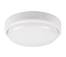 Rabalux Rabalux 7406 - LED Vonkajšie stropné svietidlo HORT LED/15W/230V IP54 biela