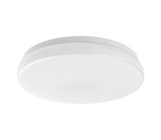 Rabalux Rabalux 77133-LED Kúp. stropné svietidlo LOWAR LED/12W/230V IP44 3000/4000/6000K