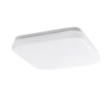 Rabalux Rabalux 77134-LED Kúp. stropné svietidlo LOWAR LED/12W/230V IP44 3000/4000/6000K