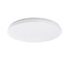 Rabalux Rabalux 77135-LED Kúp. stropné svietidlo LOWAR LED/36W/230V IP44 3000/4000/6000K