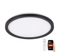 Rabalux Rabalux 7774-LED Stmievateľné vonkajšie svietidlo LED/15W/230V Wi-Fi Tuya IP44 + DO