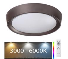 Rabalux Rabalux - LED RGB Stmievateľné stropné svietidlo LED/24W/230V + DO 3000-6000K