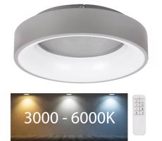 Rabalux Rabalux - LED Stmievateľné stropné svietidlo LED/24W/230V kulatý 3000-6000K + DO