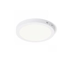 RED RED - Design  - R12973 - LED Stropné svietidlo SOCORRO LED/24W/230V