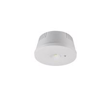 Sinclair Sinclair - LED Núdzové svietidlo NOH LED/3W/230V IK06