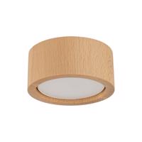 Stropné svietidlo TK 10123 EVE WOOD