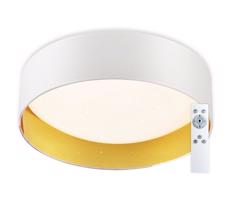 Top Light Top Light - LED Stmievateľné stropné svietidlo LED/24W/230V + diaľkové ovládanie biela