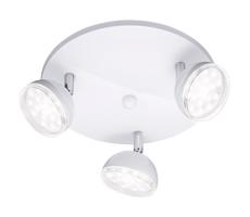 Trio Trio - LED Bodové svietidlo BOLOU 3xLED/3,8W/230V