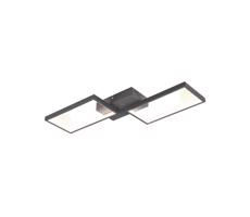 Trio Trio - LED Stmievateľný prisadený luster CAFU 2xLED/7W/230V