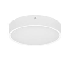 WMAT300-15W/BI - LED Stropné svietidlo MARTIN LED/15W/230V IP65 biela