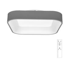 WMKL01S-40W/LED-SED - LED Stmievateľné svietidlo NEST LED/40W/230V