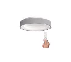 WO768-G - LED Stmievateľné stropné svietidlo TREVISO LED/48W/230V + DO