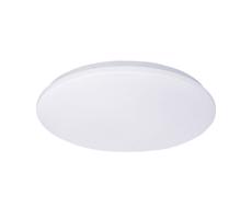 WO786 - LED Stropné svietidlo PLAIN LED/15W/230V 3000K guľaté