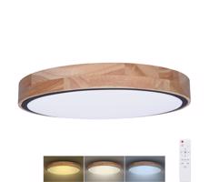 WO8005 - LED Stm. svietidlo IRON OAK LED/48W/230V 3000-6500K pr. 40 cm+DO