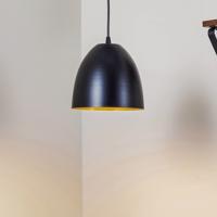 Závesná lampa Lenox jedno-plameňová, čierna/zlatá